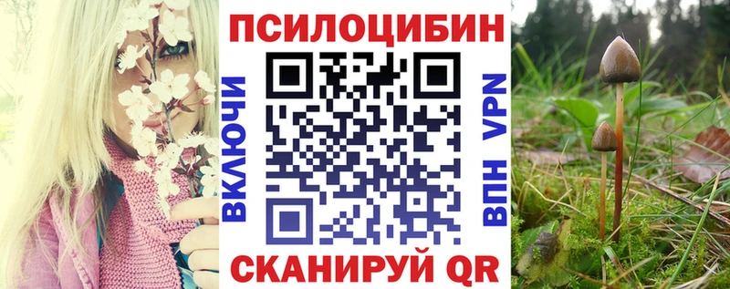 Псилоцибиновые грибы Psilocybe  купить наркоту  Бахчисарай 
